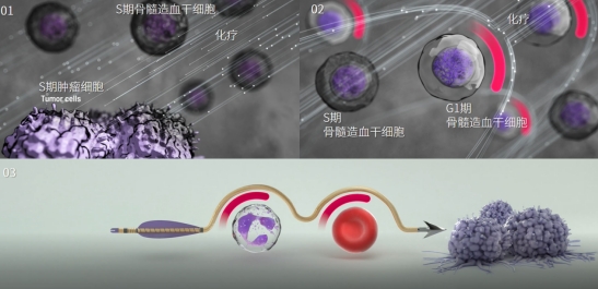 全国肿瘤防治宣传周|关注骨髓抑制 助力肿瘤治疗持久续航