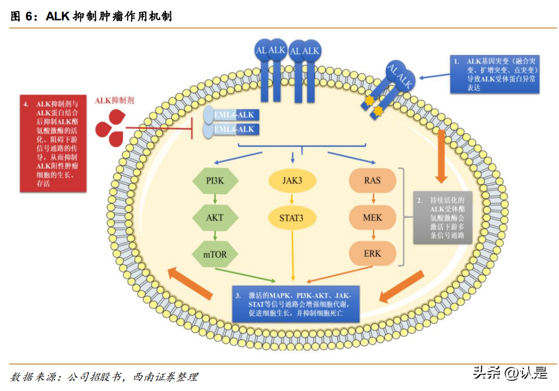 研究报告：这些新药有望成为国内“首款”