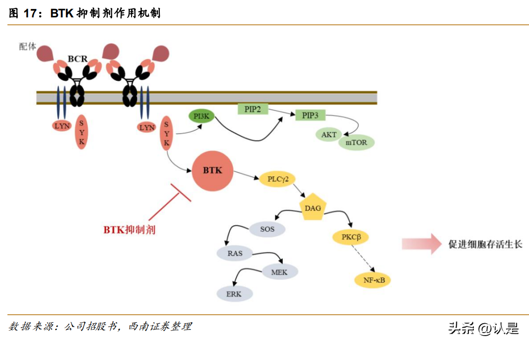 研究报告：这些新药有望成为国内“首款”