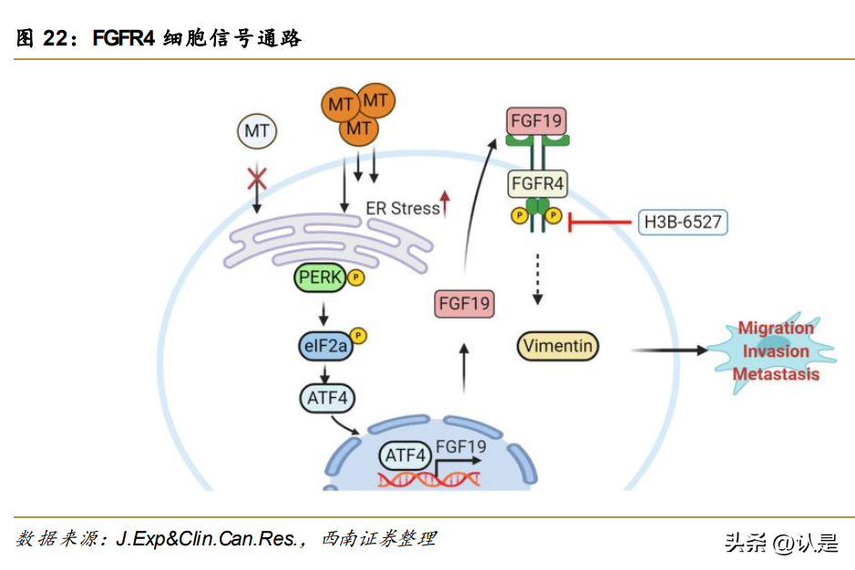 研究报告：这些新药有望成为国内“首款”