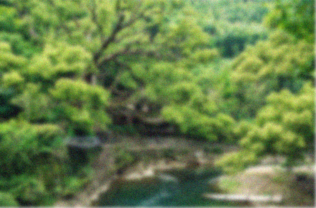 【医患真情】我们收到了一面“绿色的锦旗”——当植树节遇上“碳惠锦旗”